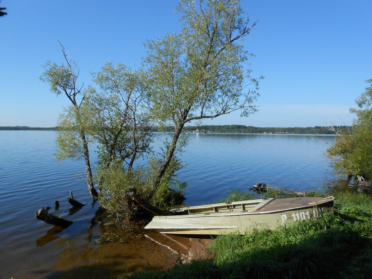 Озера велья. Озеро Велье Валдай. Балуево озеро Велье. Оз Велье Псков. Озеро Велье Псковская область.