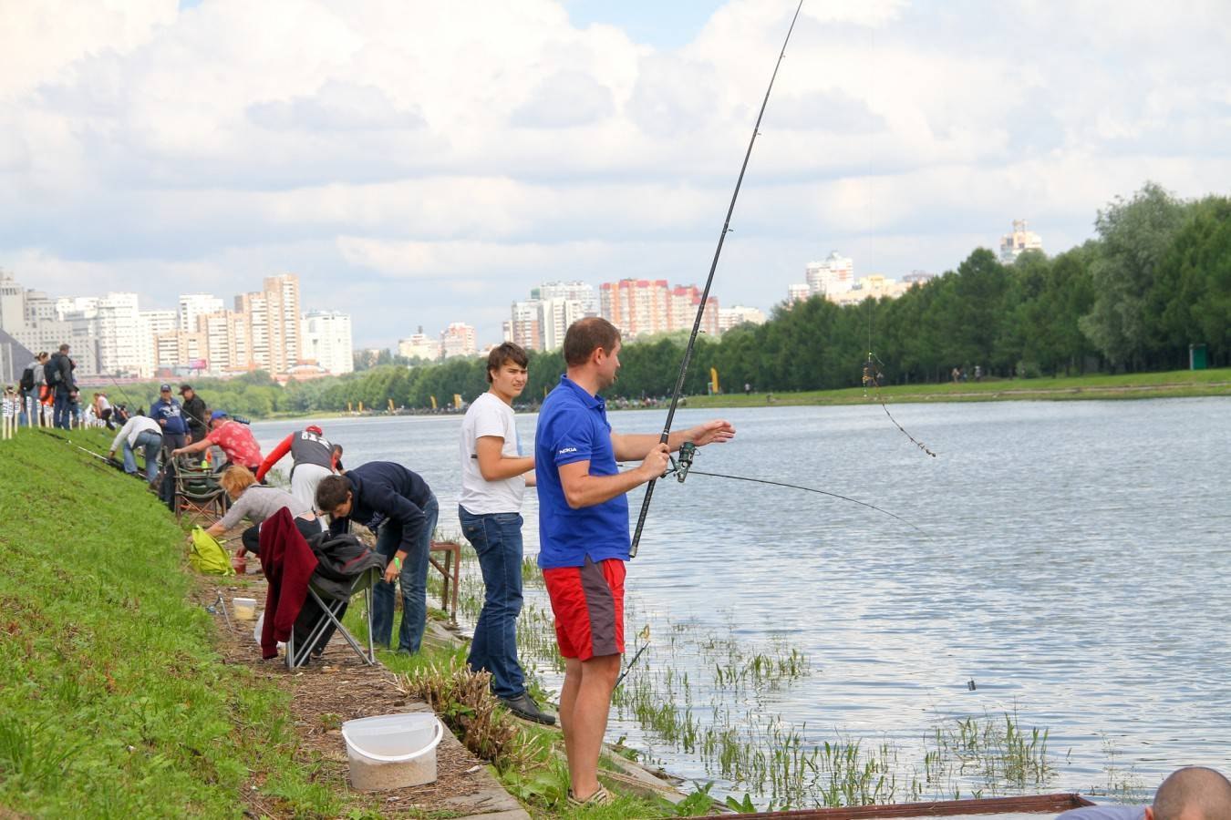 Ловить рыбу в городе