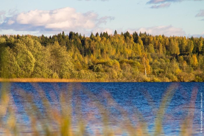 Озеро Заозерье Окуловский район