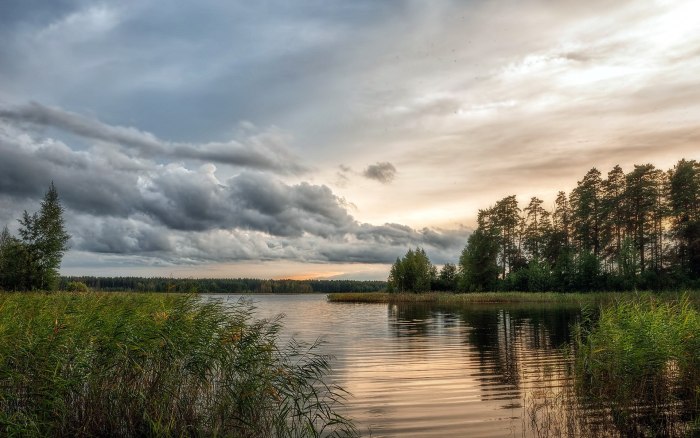 Озеро в Карелии лето