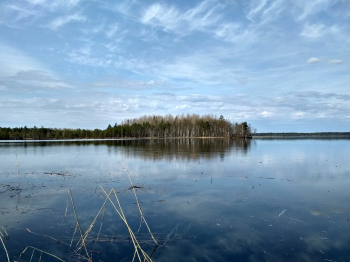 Ижма озеро Архангельск