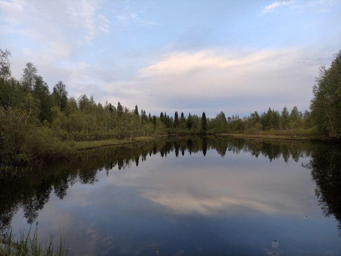 Сыктывкар природа