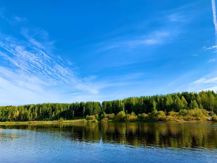 Река Ижма Республика Коми