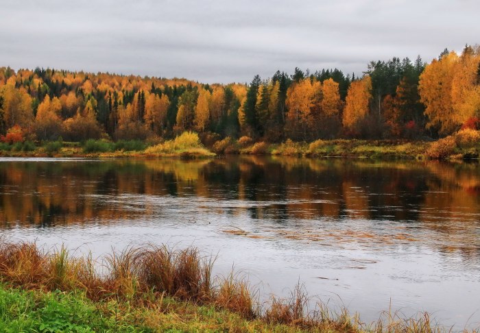 Река Ижма Сосногорск