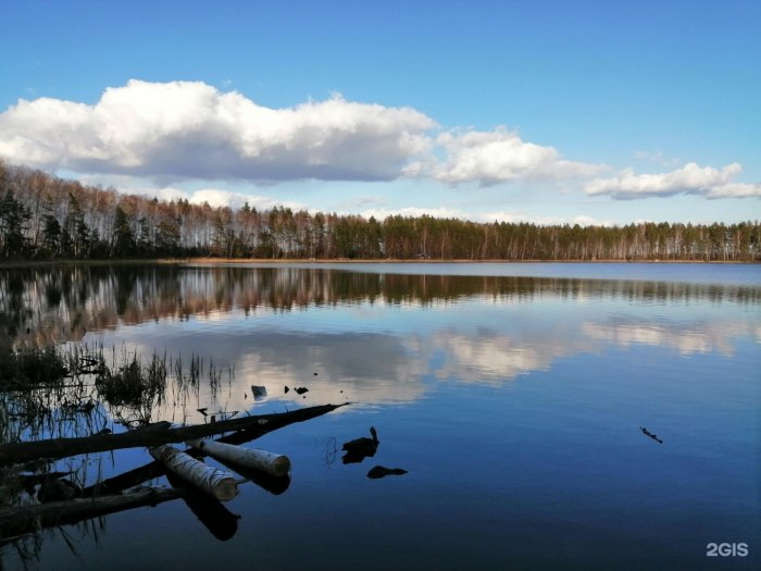Лесное озеро Томск