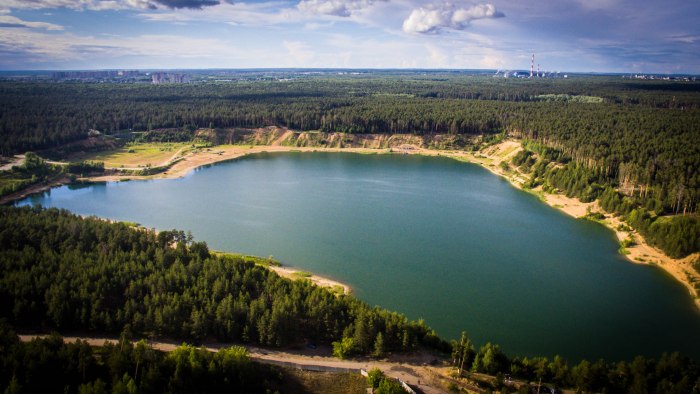Лагерь Сосновая роща