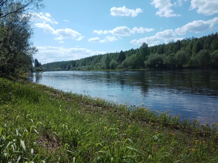 Река Ижма Республика Коми