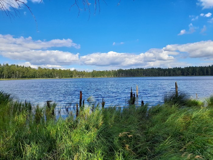 Оз Инерка Мордовия
