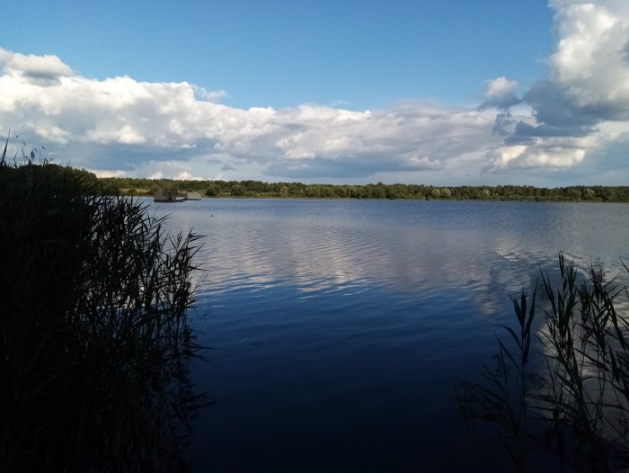 Пляж на озере