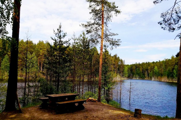 Плещеево озеро панорама