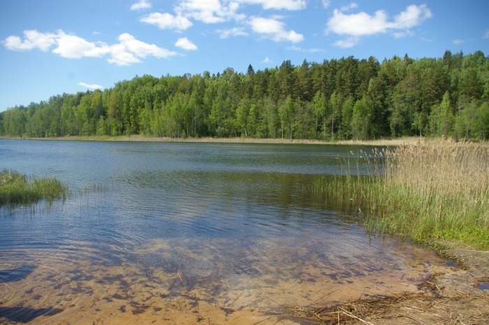 Озеро бездонное Нижний Тагил