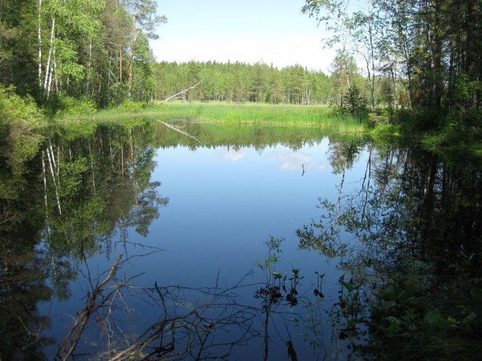 Шесть озёр Михайловск