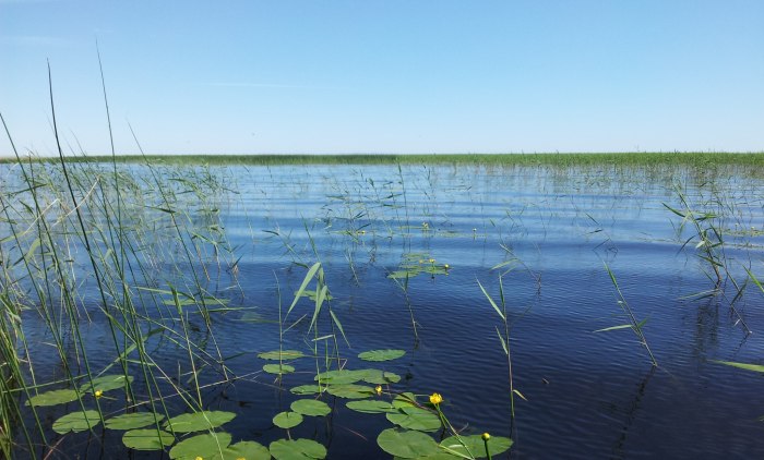 Село солёное озеро Светлоград