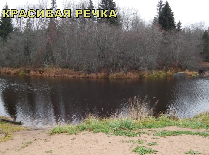 Лысый Лиман Ставропольский край рыбалка