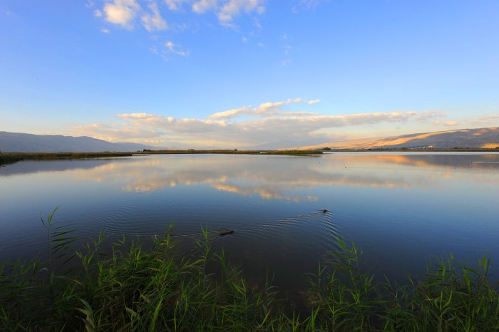 Хермон Galilee озеро
