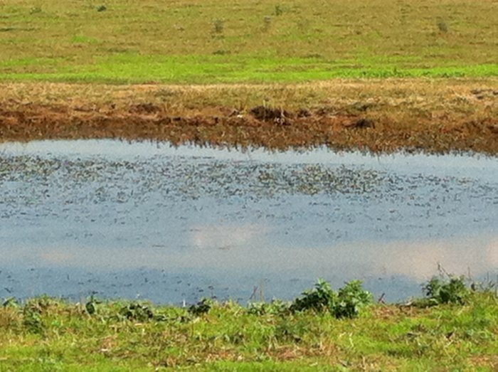 Hula Lake