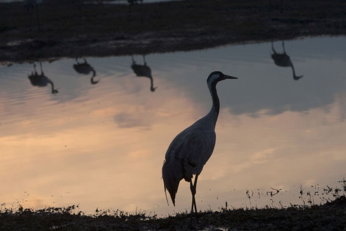 Hula Lake