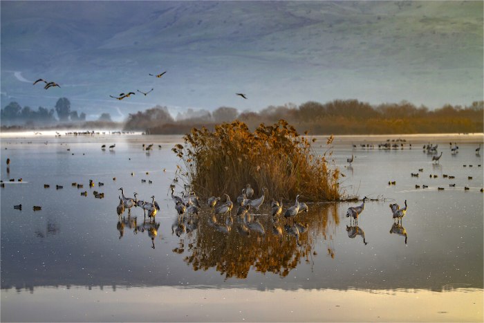 Hula Lake
