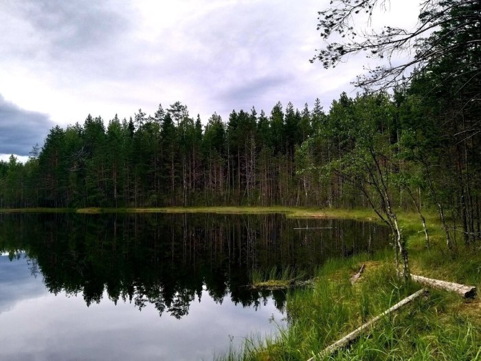 Юшкеловское озеро Васкелово