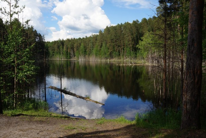 Кемь, Кемское городское поселение, Республика Карелия