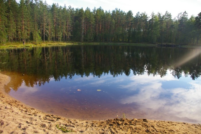 Озеро Куйто Карелия
