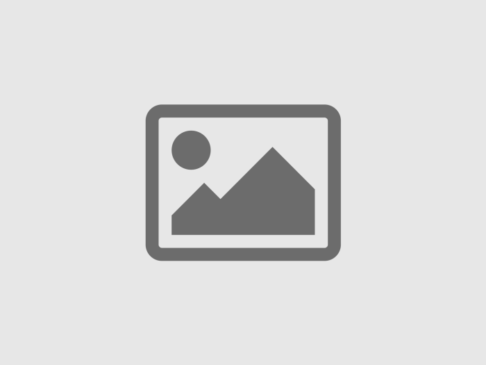 Шушино Приозерский район Ленинградской области