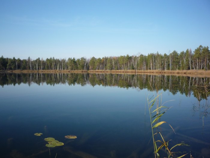 Карстовые озера Нолинск