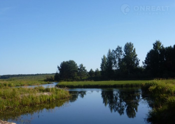 Нестеровское озеро Ленинградская область