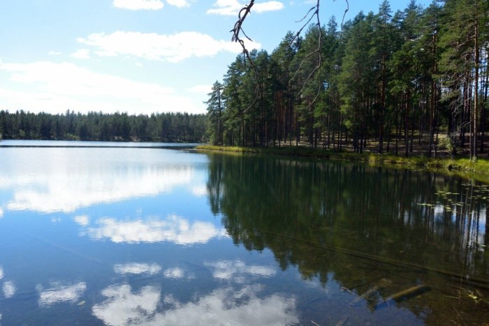 Озеро ключик Павловский район Нижегородской области