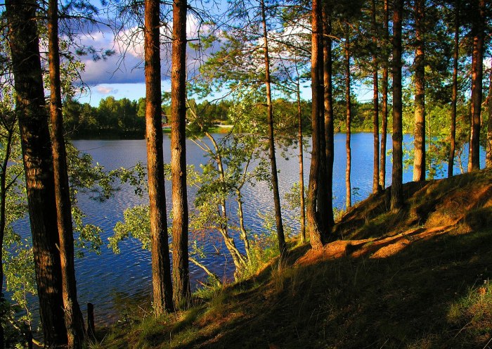 Красногорский карьер Тверь
