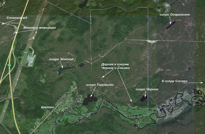 Озеро Опаринское Лужский