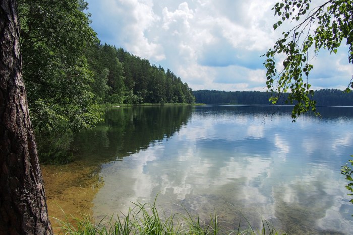 Озеро плотское Архангельск