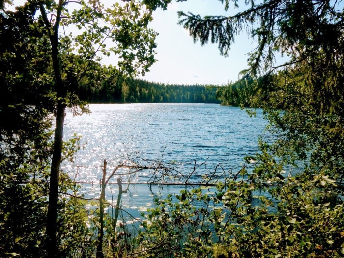 Тёсово-Нетыльский озеро