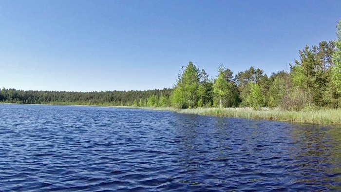 Озеро Дальнее Ногинский район
