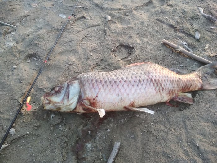 Воды озера дальнего Востока