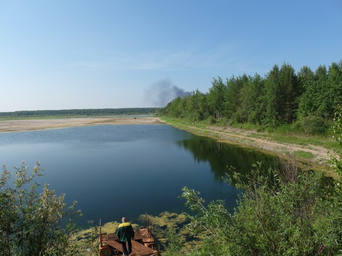 Оз Бабошкино в Балашихе
