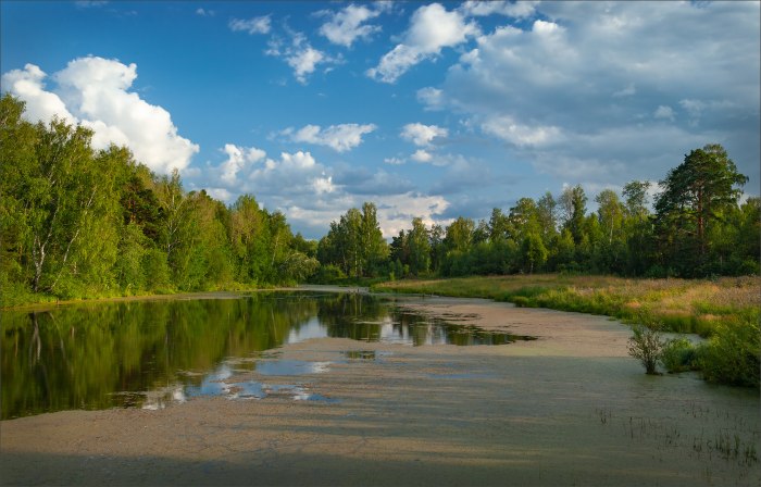 Розовое озеро Самарская область