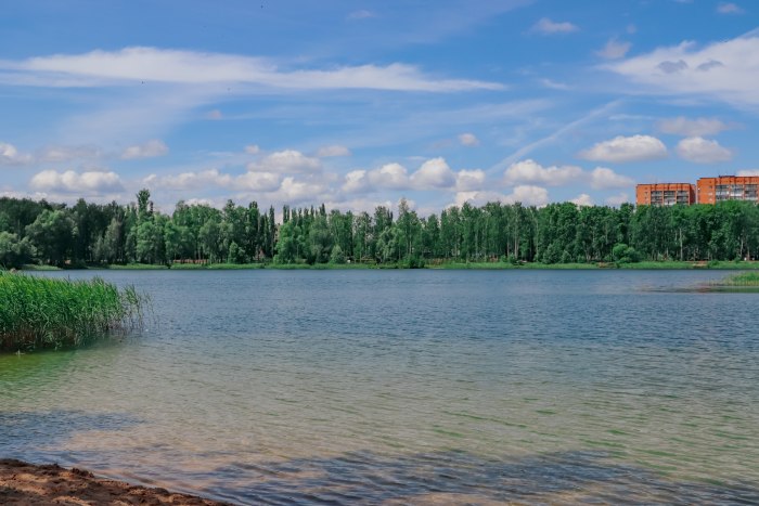 Болото Мазуринское Каменск Уральский