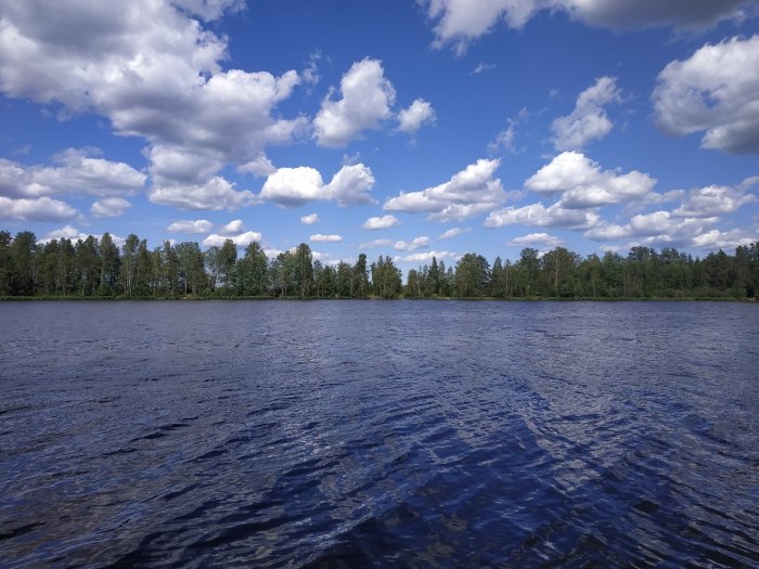 Пляжи Сиверского озера