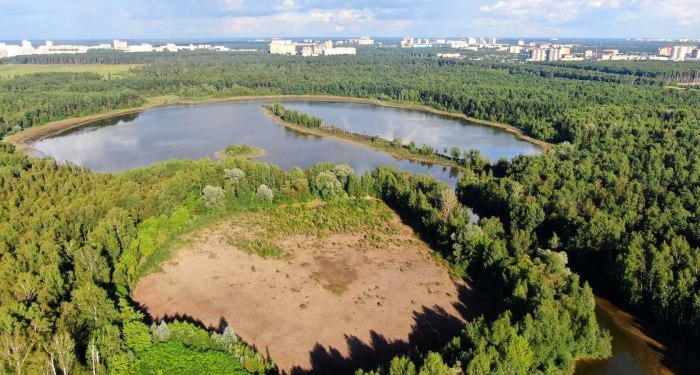 Болото Мазуринское Каменск Уральский