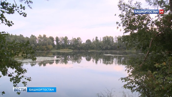 Безымянное озеро в Красном селе