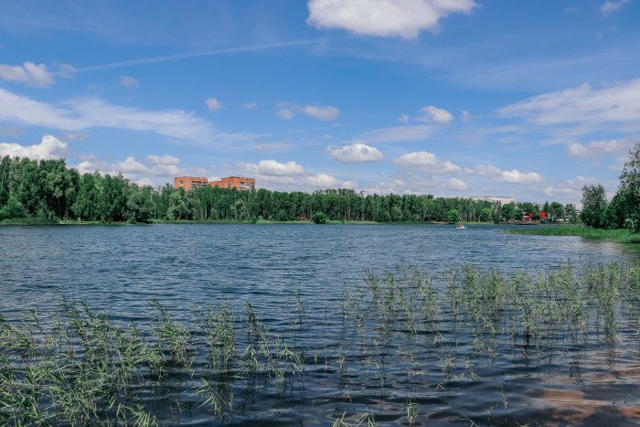 Оз Бабошкино в Балашихе