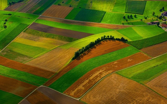 Поле с высоты птичьего полета