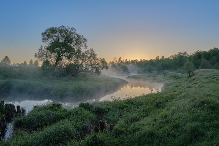 Река пекша владимирская область фото