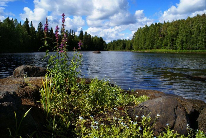 Национальный парк Водлозерский Республики Карелия