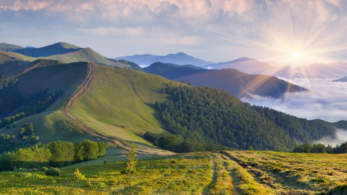 Уральская природа разнотравье