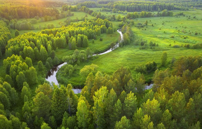 Скала такмак Красноярск