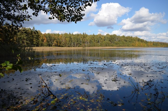 Реки России