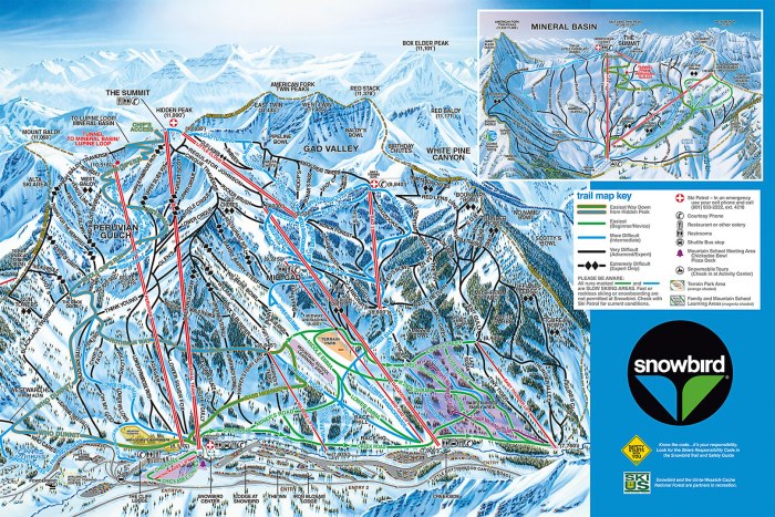 Two Black Hawk Helicopters crash outside of Utah Ski Resort фото