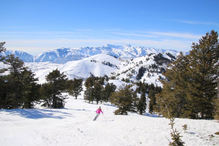 Aspen Snowmass Colorado